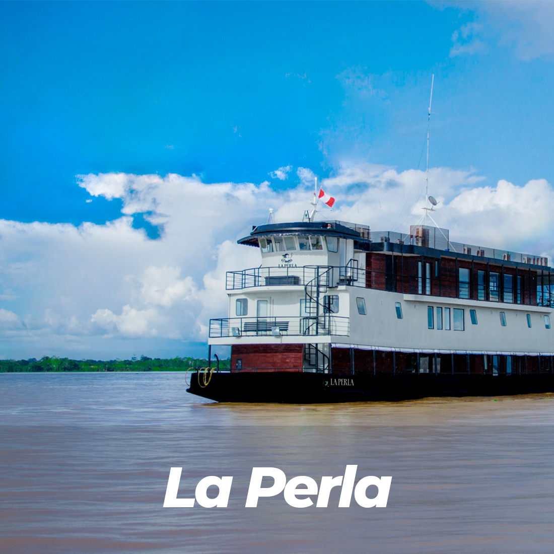 Ceniza Unirse Cancelar La Perla Cruise - Amazon River Expeditions